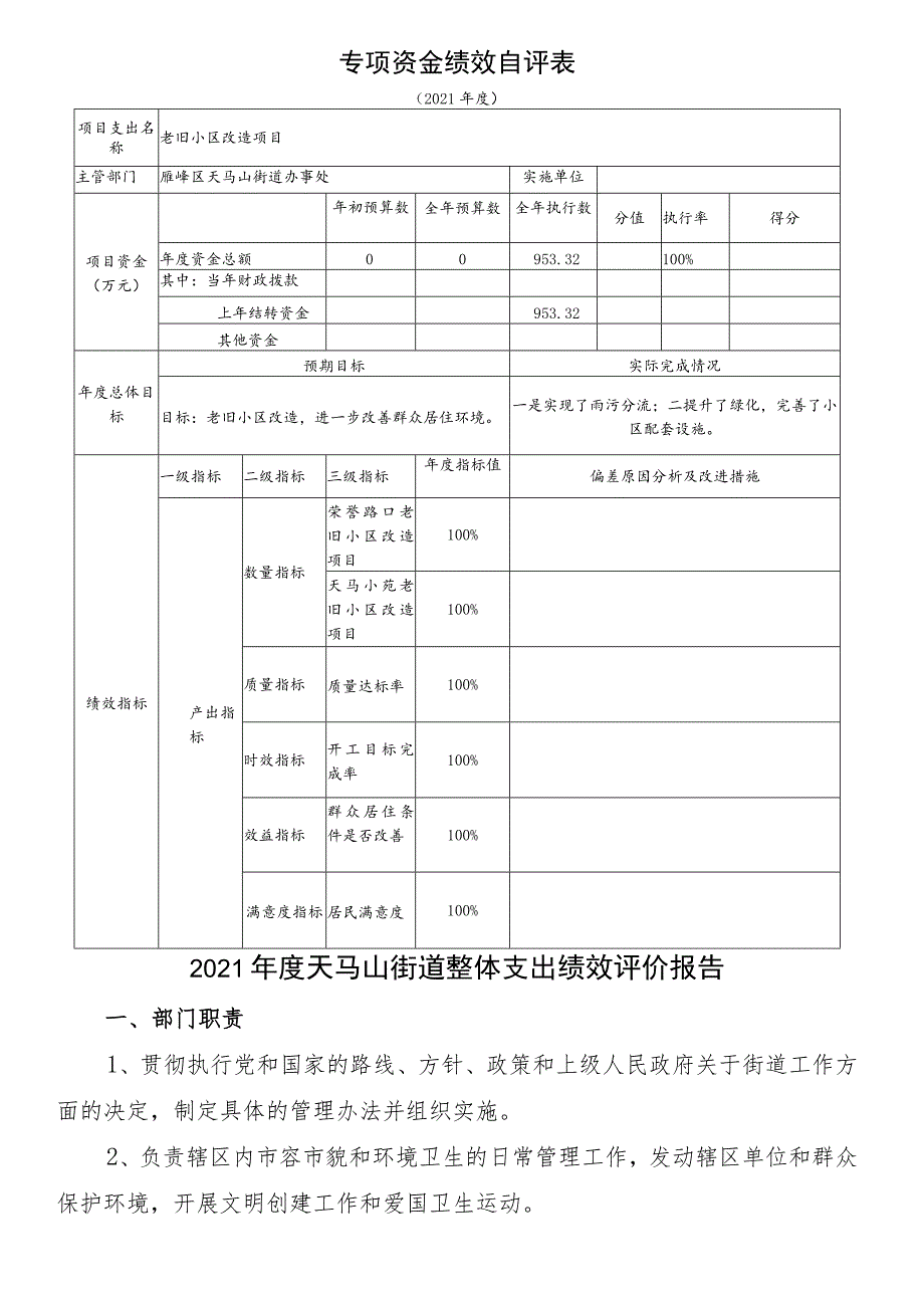 天马山街道整体支出绩效自评表.docx_第3页