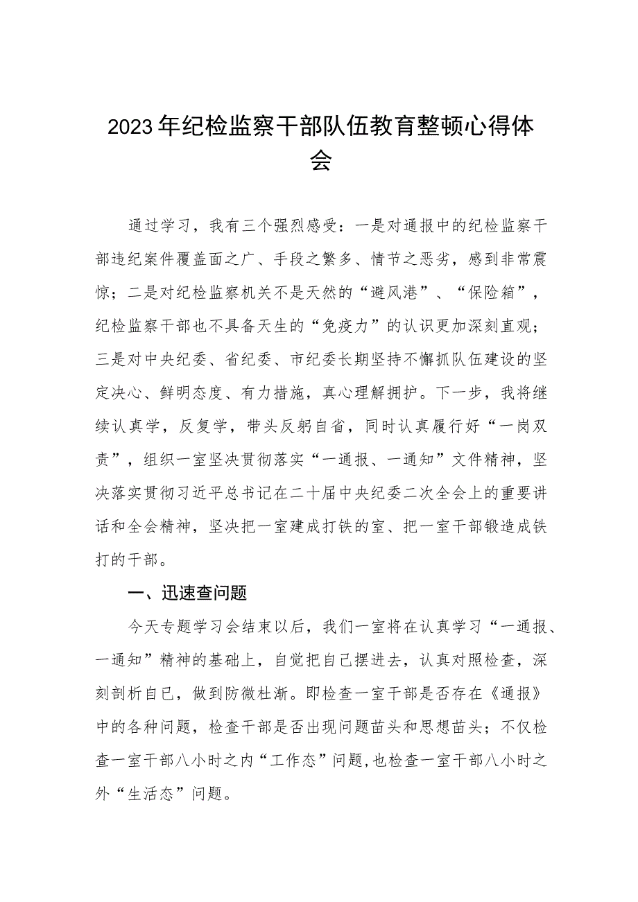 全国纪检监察干部队伍教育整顿心得体会两篇例文.docx_第1页