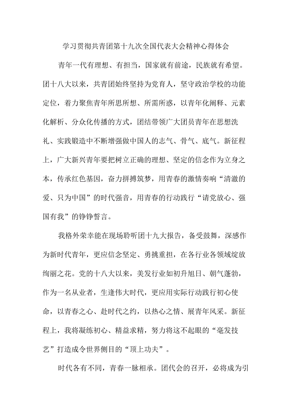 共青团干部学习贯彻共青团第十九次全国代表大会精神个人心得体会 四篇.docx_第1页