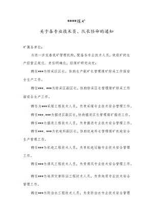 煤矿各技术员、队长任命BZH.docx