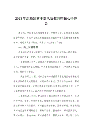 2023纪检监察干部队伍教育整顿学习个人心得体会两篇.docx