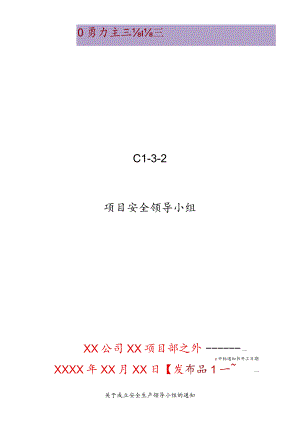 项目安全领导小组.docx