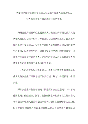 关于生产经营单位主要负责人安全生产管理人员及其他从业人员安全生产培训考核工作的意见.docx