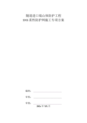 隧道进口端山体防护工程SNS柔性防护网施工专项方案.docx