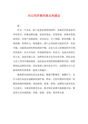 对公司发展的意见和建议.docx