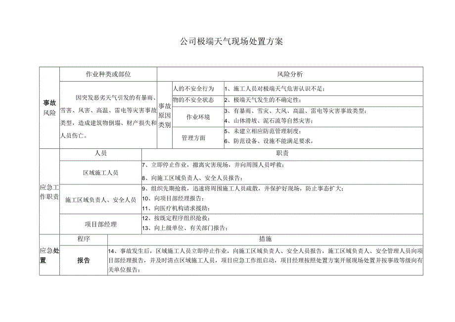 公司极端天气现场处置方案.docx_第2页