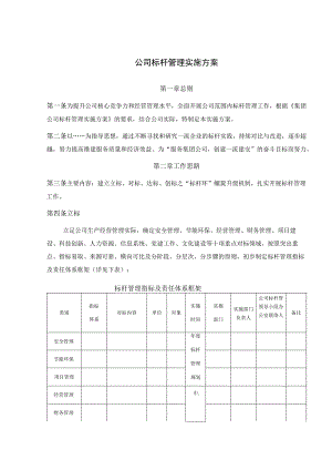 公司标杆管理实施方案.docx