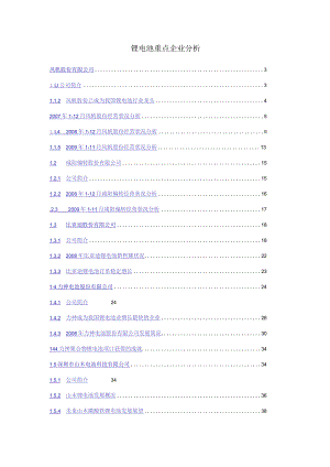 锂电池重点企业分析.docx