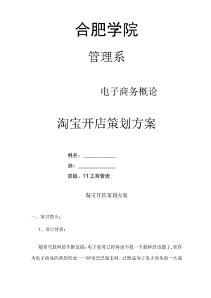 淘宝开店策划方案.docx