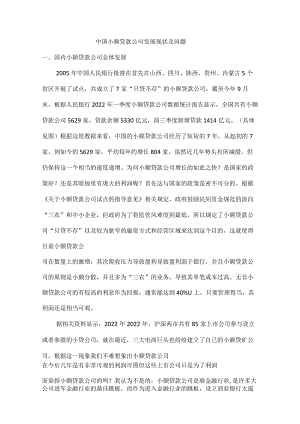 中国小贷公司发展现状及问题.docx