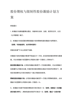 股份期权与限制性股份激励计划方案[全].docx