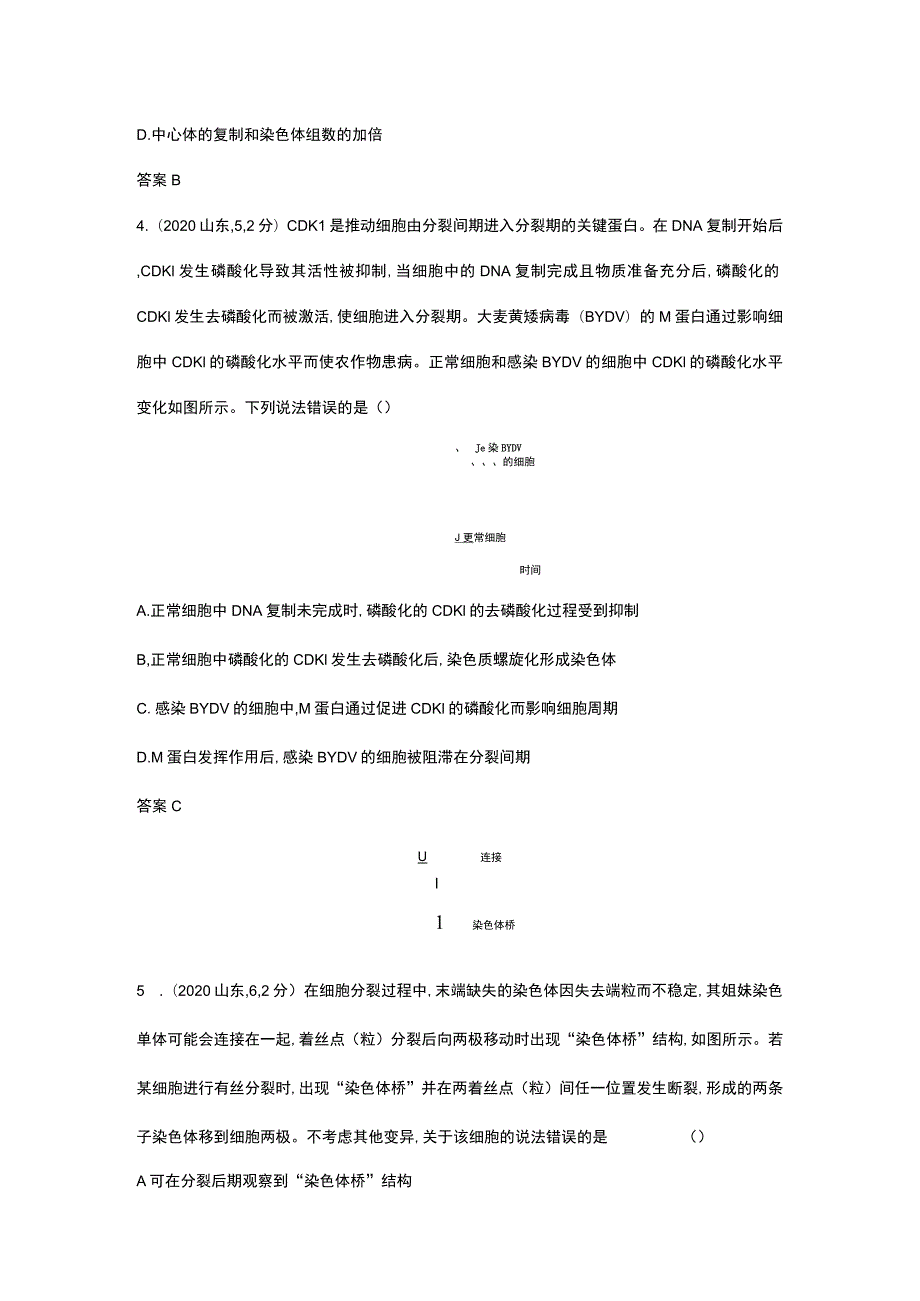 1_专题7 细胞的增殖（试题word）.docx_第2页