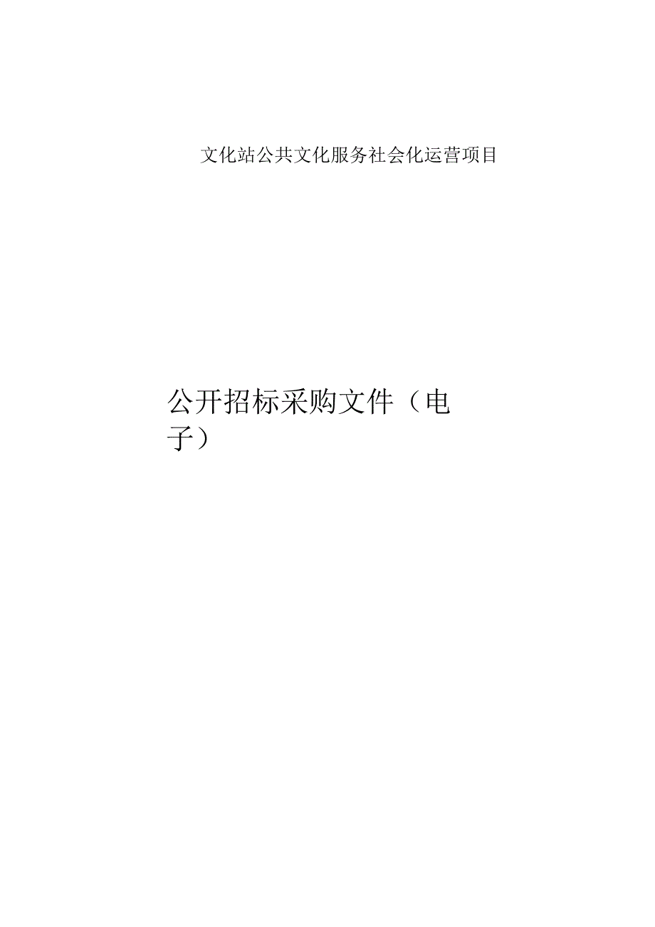 公共文化服务社会化运营项目招标文件.docx_第1页