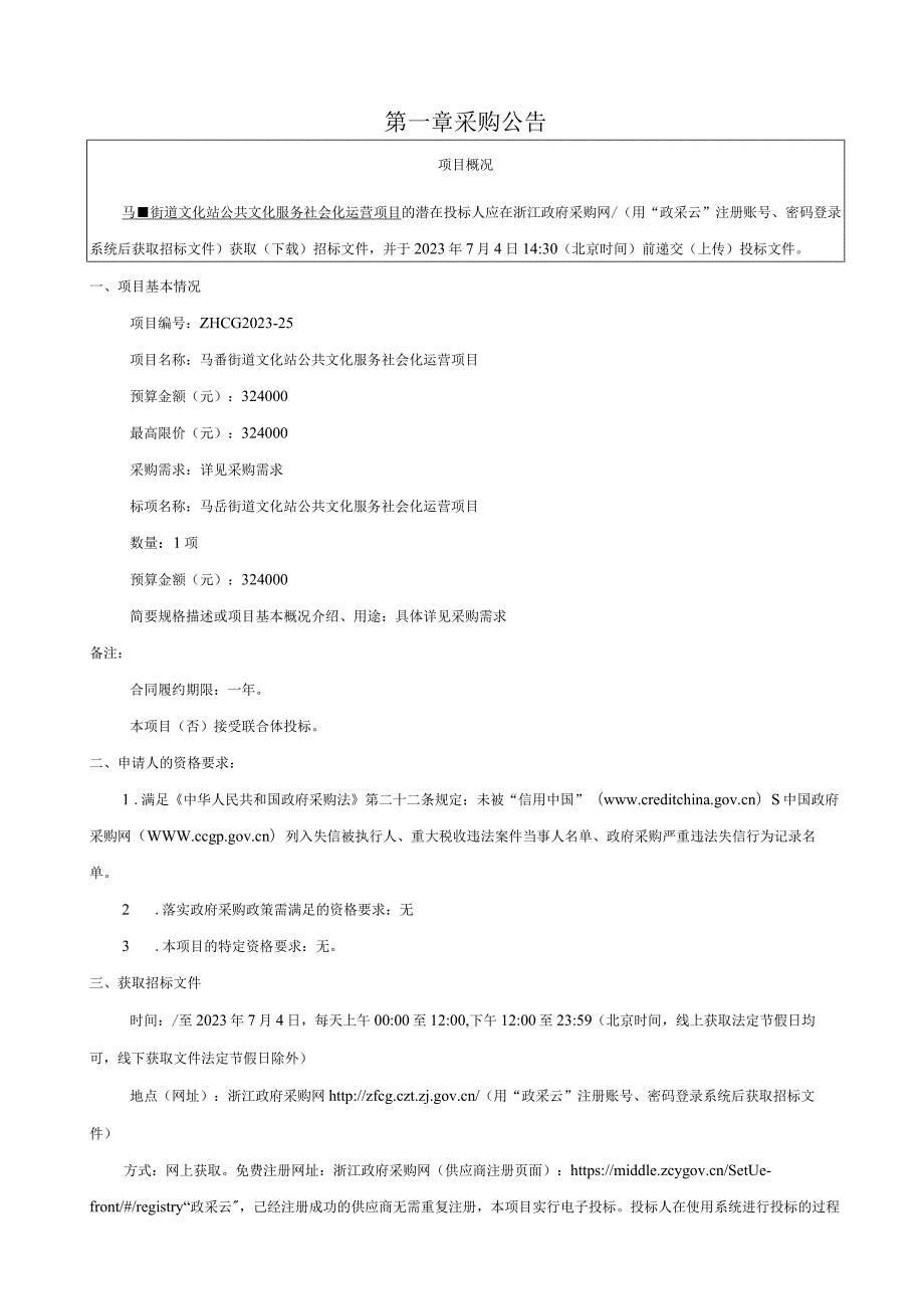 公共文化服务社会化运营项目招标文件.docx_第3页