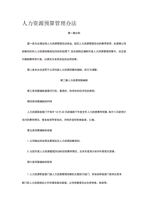 人力资源预算管理办法全.docx