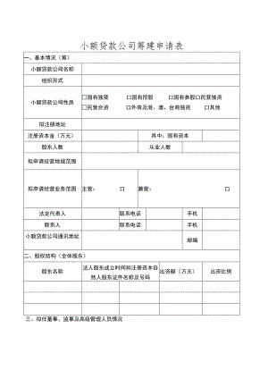 小额贷款公司筹建申请表.docx