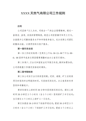 天然气有限公司工作规则.docx