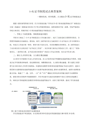 1+X证书制度试点典型案例.docx