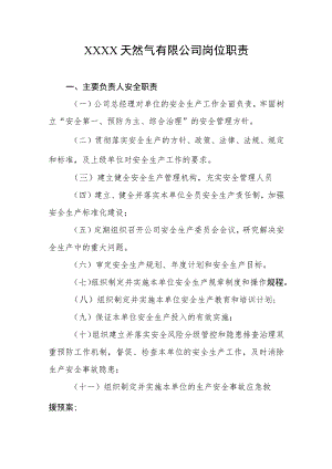 天然气有限公司岗位职责.docx