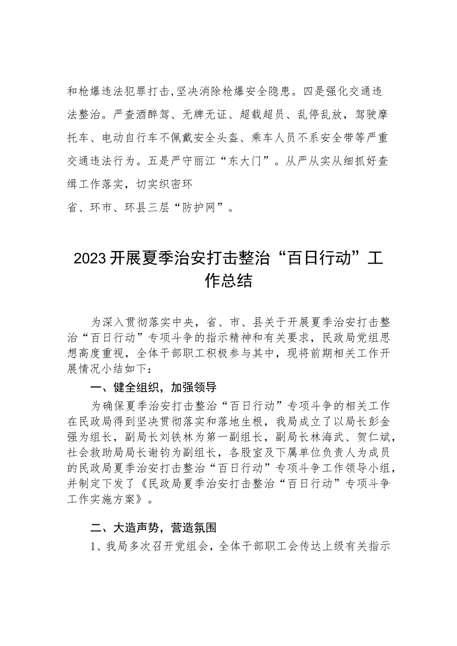 公安推进夏季治安打击整治“百日行动”总结4篇.docx_第3页