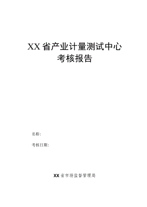 产业计量测试中心考核报告.docx