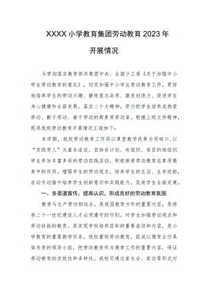 小学教育集团劳动教育2023年开展情况.docx