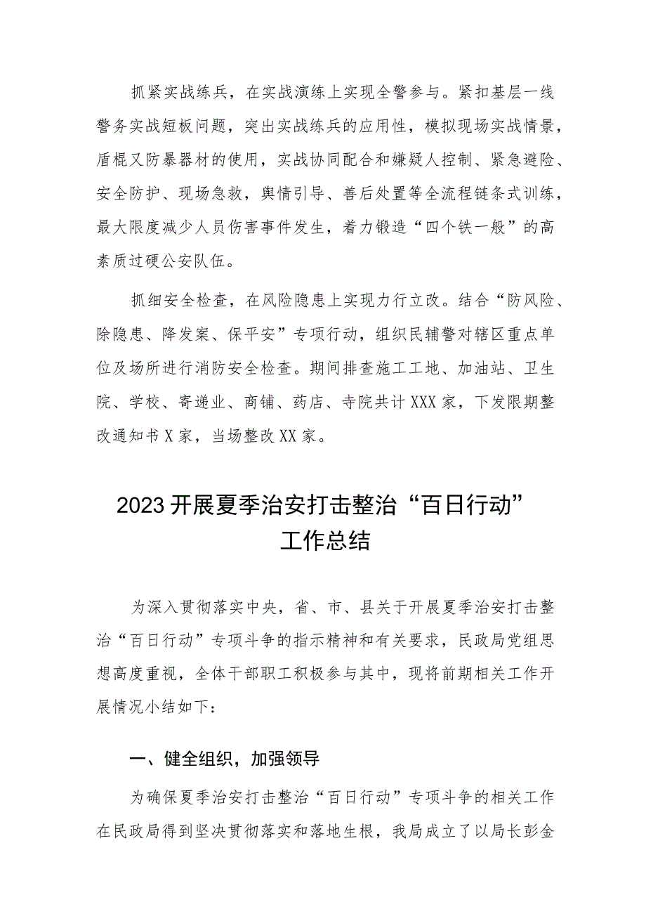 市公安局开展夏季治安打击整治”百日行动“进展情况汇报总结四篇模板.docx_第2页