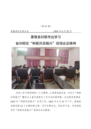 47喜德县妇联传达学习省州在昭觉召开树新风促振兴现场会议精神.docx