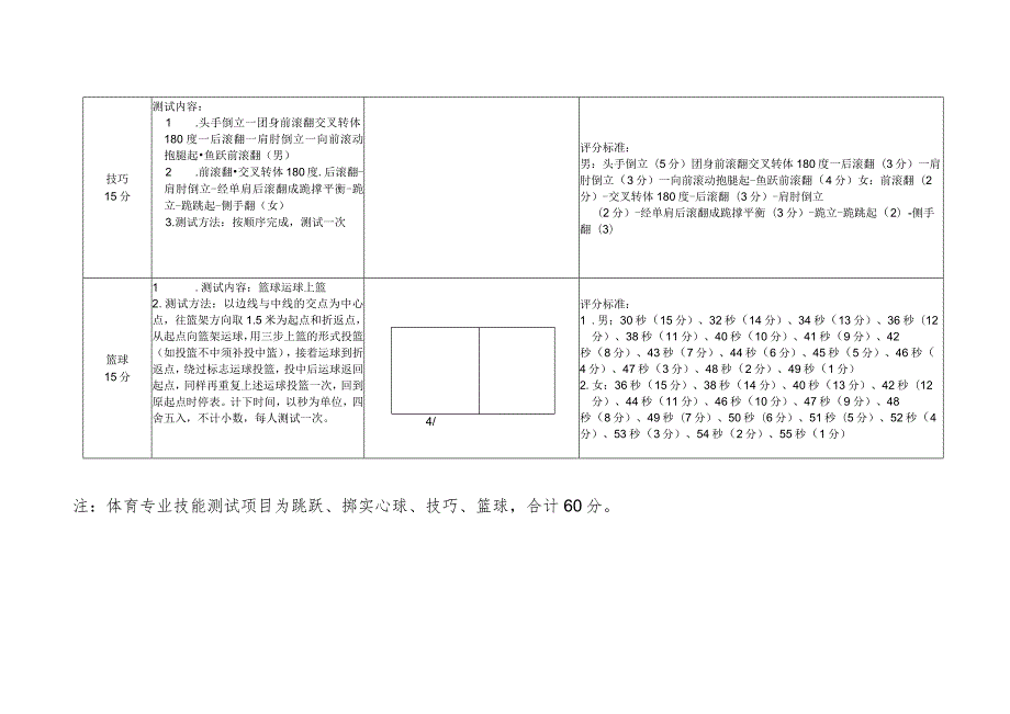 音乐专业技能测试项目及评分标准.docx_第3页