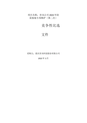 首讯公司2023年防雷接地专项维护第二次.docx