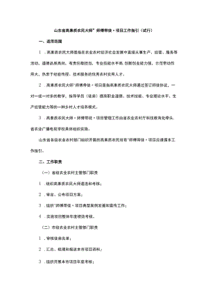 山东省高素质农民大师“师傅带徒”项目工作指引（试行）.docx