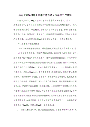 县司法局2023年上半年工作总结及下半年工作打算.docx