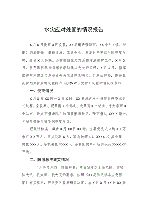 2023年水灾应对处置的情况报告.docx