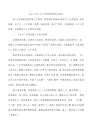 企业公司人才工作机制经验亮点做法.docx