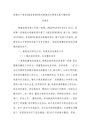 某镇关于落实X届县委第X轮巡察情况反馈意见集中整改情况报告.docx