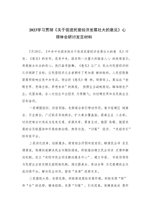 2023学习贯彻《关于促进民营经济发展壮大的意见》心得体会研讨发言材料(精选10篇汇编).docx