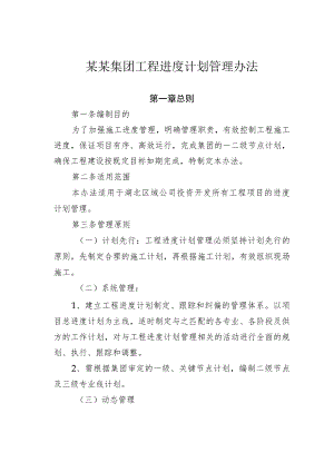 某某集团工程进度计划管理办法.docx