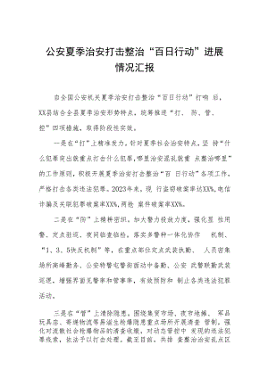 公安推进夏季治安打击整治“百日行动”总结六篇.docx