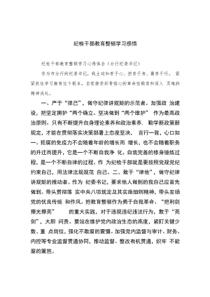 2023纪检干部教育整顿学习感悟（10篇）.docx