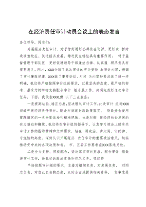 在经济责任审计动员会议上的表态发言.docx