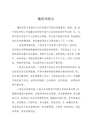 廉政风险点研讨发言.docx