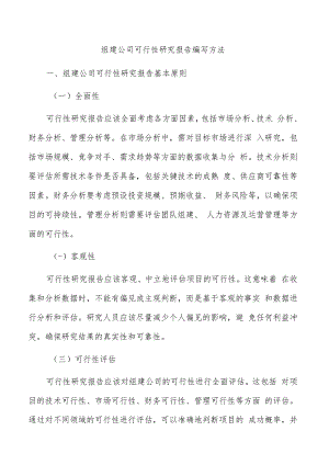 组建公司可行性研究报告编写方法.docx