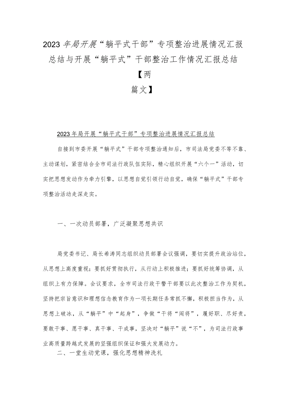 2023年局开展“躺平式干部”专项整治进展情况汇报总结与开展“躺平式”干部整治工作情况汇报总结【两篇文】.docx_第1页