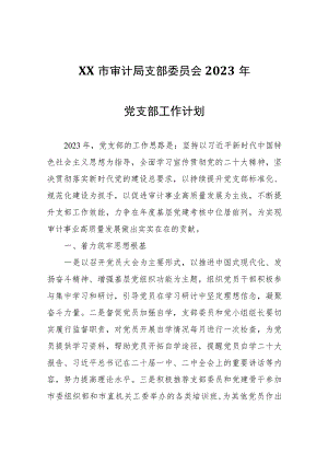 XX市审计局支部委员会2023年党支部工作计划.docx