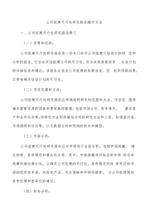 公司组建可行性研究报告编写方法.docx