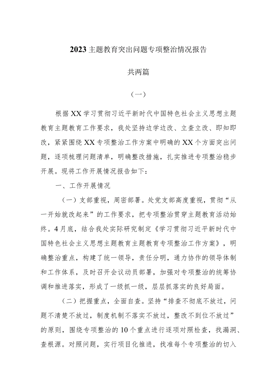 2023主题教育突出问题专项整治情况报告共两篇.docx_第1页