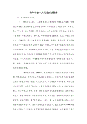 青年干部个人党性剖析报告.docx