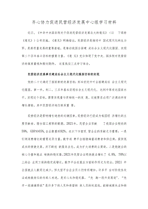 齐心协力促进民营经济发展中心组学习材料.docx