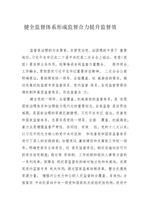 健全监督体系形成监督合力提升监督效能.docx