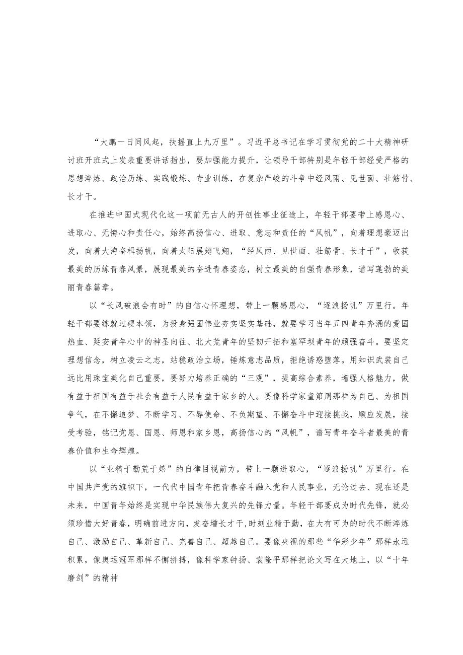 （4篇）正确理解和大力推进中国式现代化专题学习研讨发言心得体会（附党课讲稿）.docx_第3页